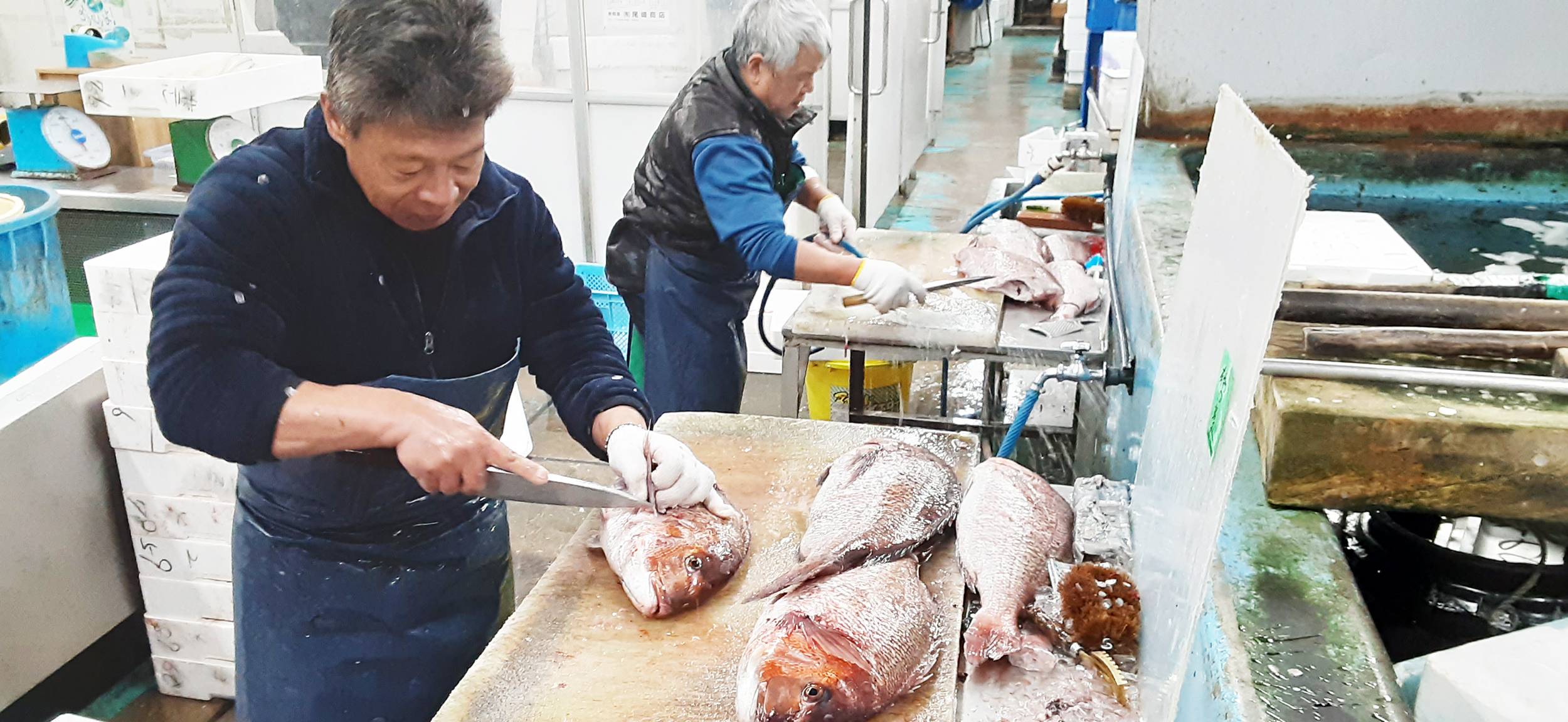 鮮魚加工-魚問屋(有)尾崎商店