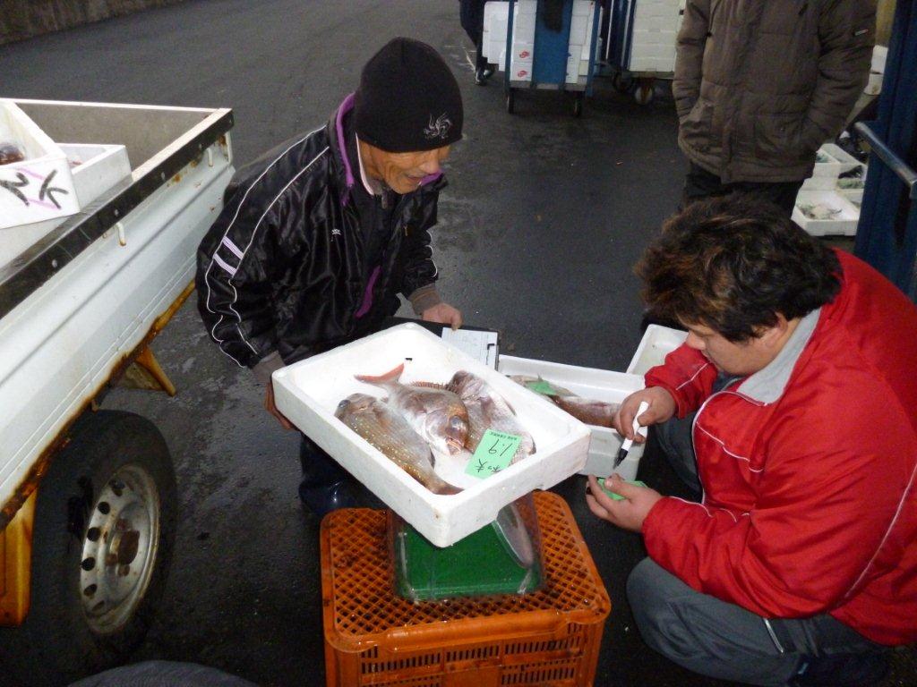 水揚げした魚を入荷する地元漁師-魚問屋(有)尾崎商店
