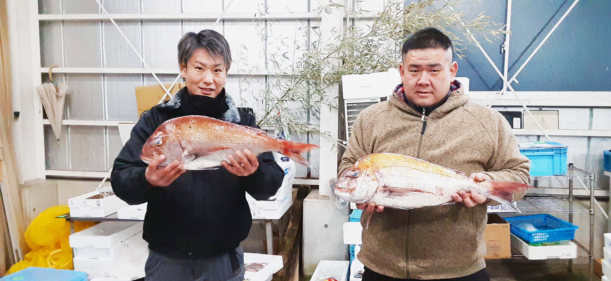 鳴門鯛-魚問屋(有)尾崎商店